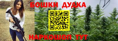 альфа пвп Новодвинск
