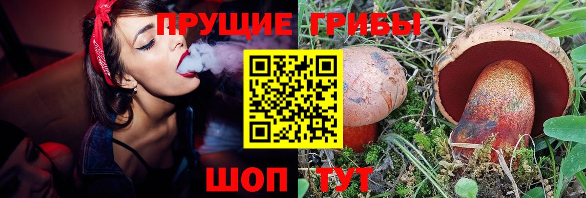 Галлюциногенные грибы GOLDEN TEACHER Торжок