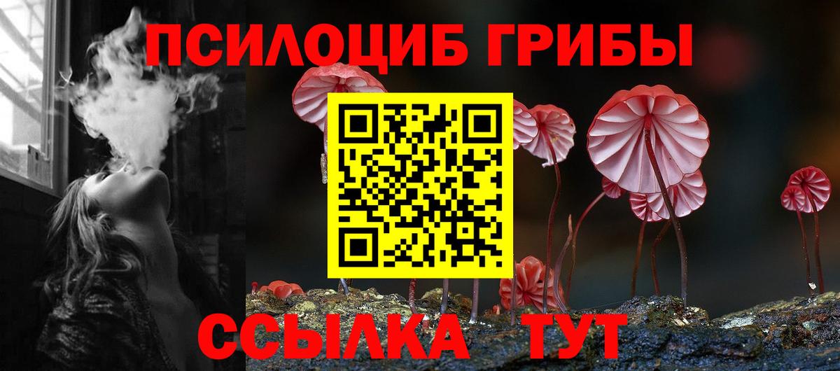 Торжок  Псилоцибиновые грибы Cubensis  Галлюциногенные грибы прущие грибы  Вход с VPN 