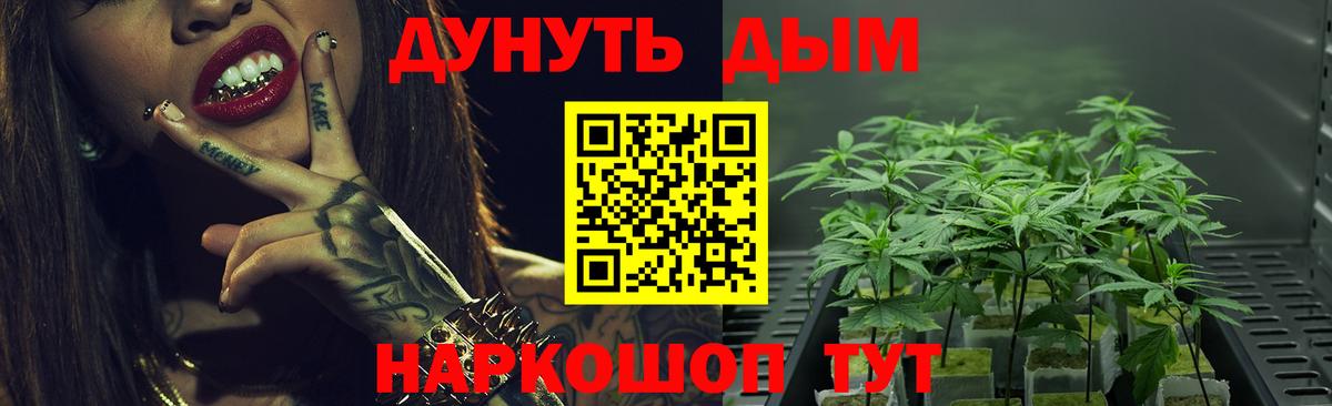 Торжок  Конопля план  Бошки марихуана Amnesia  Каннабис индика  Вход с VPN 